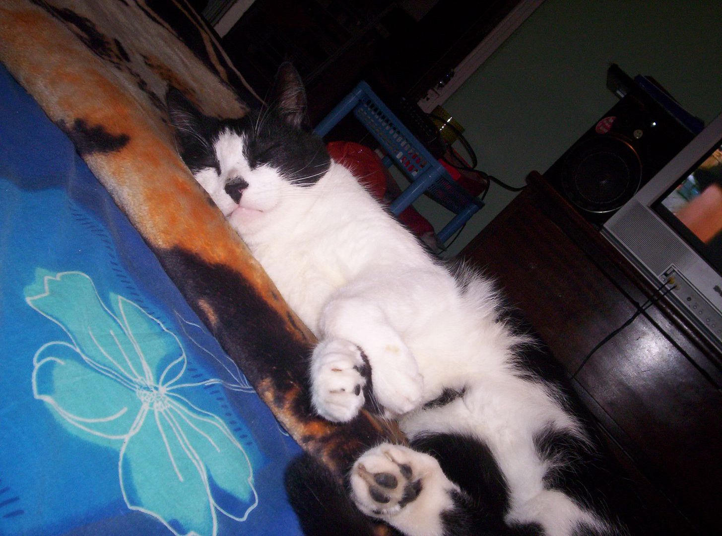 000_0147.jpg