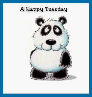Panda Happy Tuesday Pictures, Images and Photos