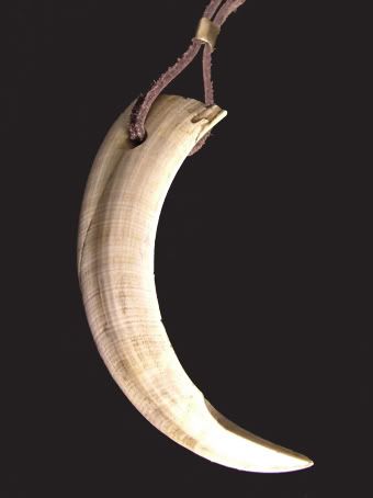 BoarTuskLgPendant.jpg
