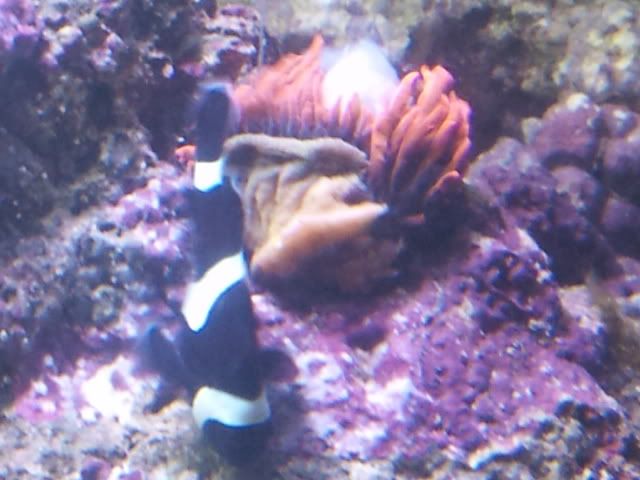 2011-08-05215149.jpg