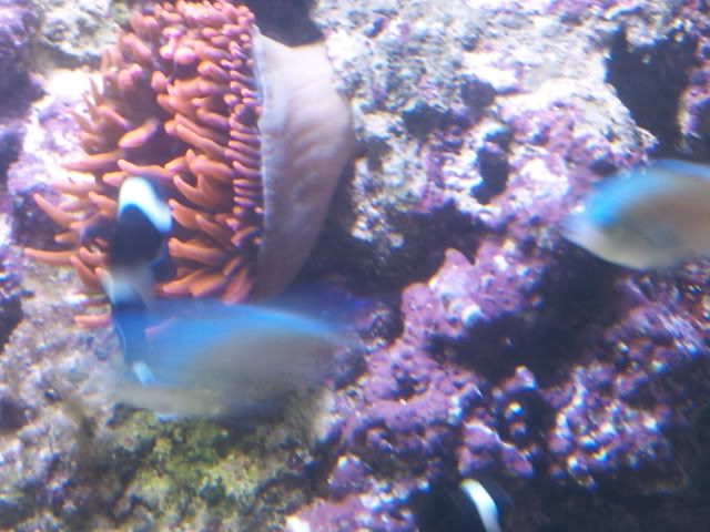 2011-08-05215159.jpg
