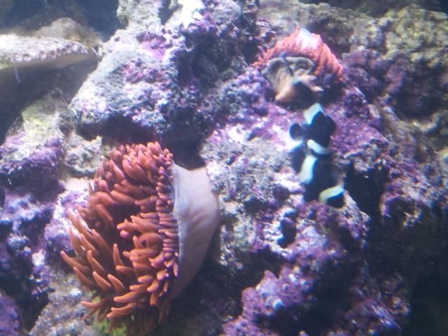 2011-08-05215207.jpg