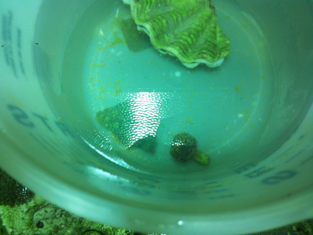 2011-09-08112052.jpg