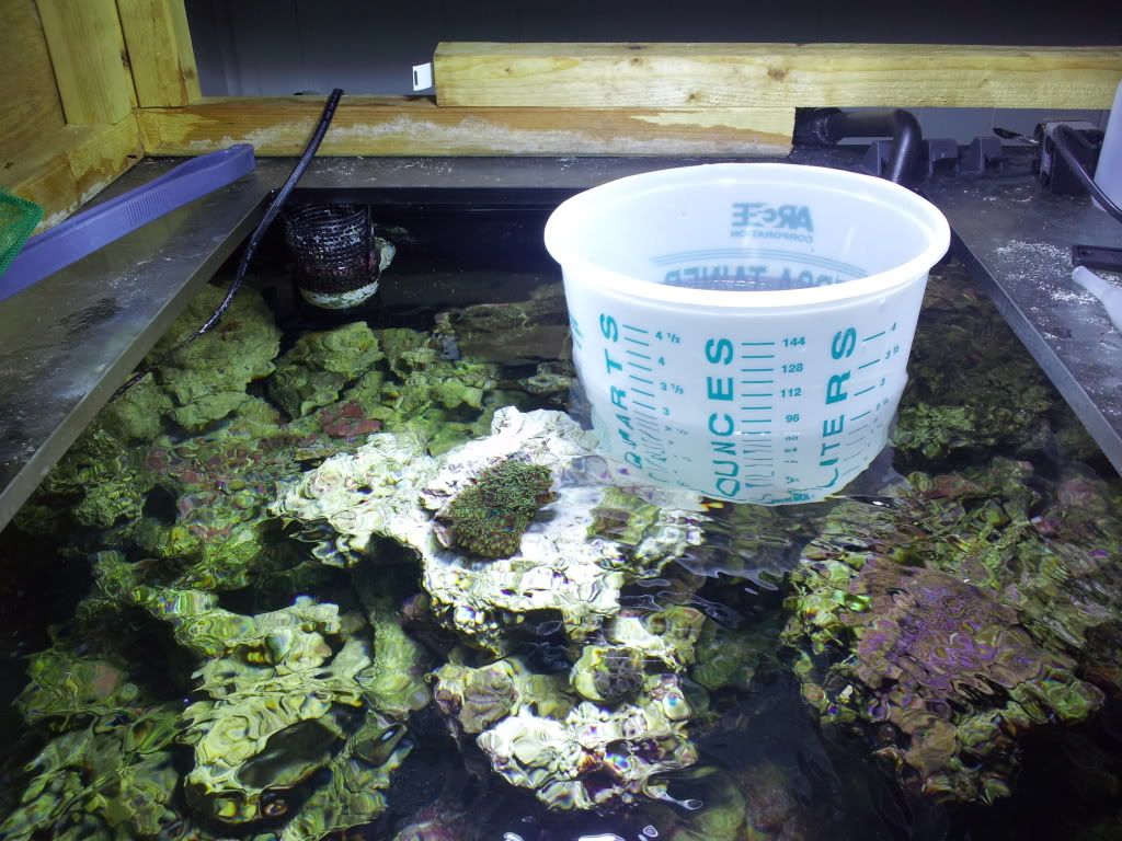 2011-09-08112333.jpg