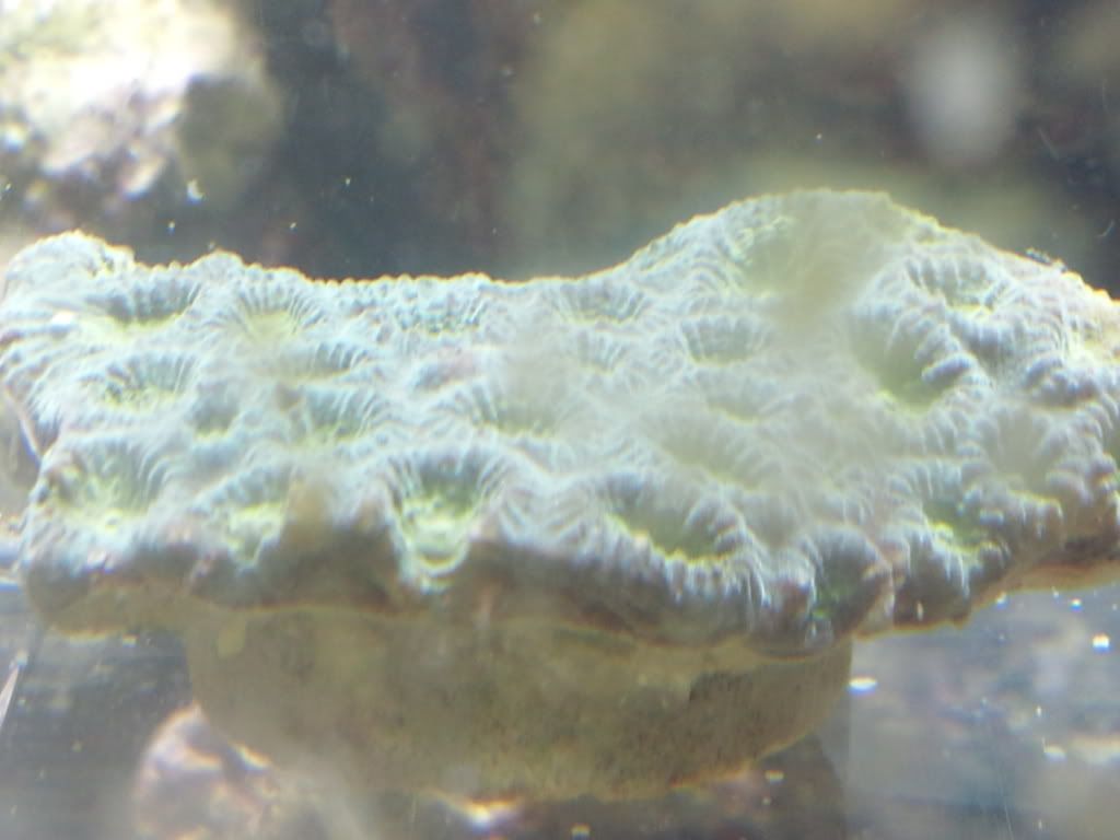 2011-09-08113313.jpg