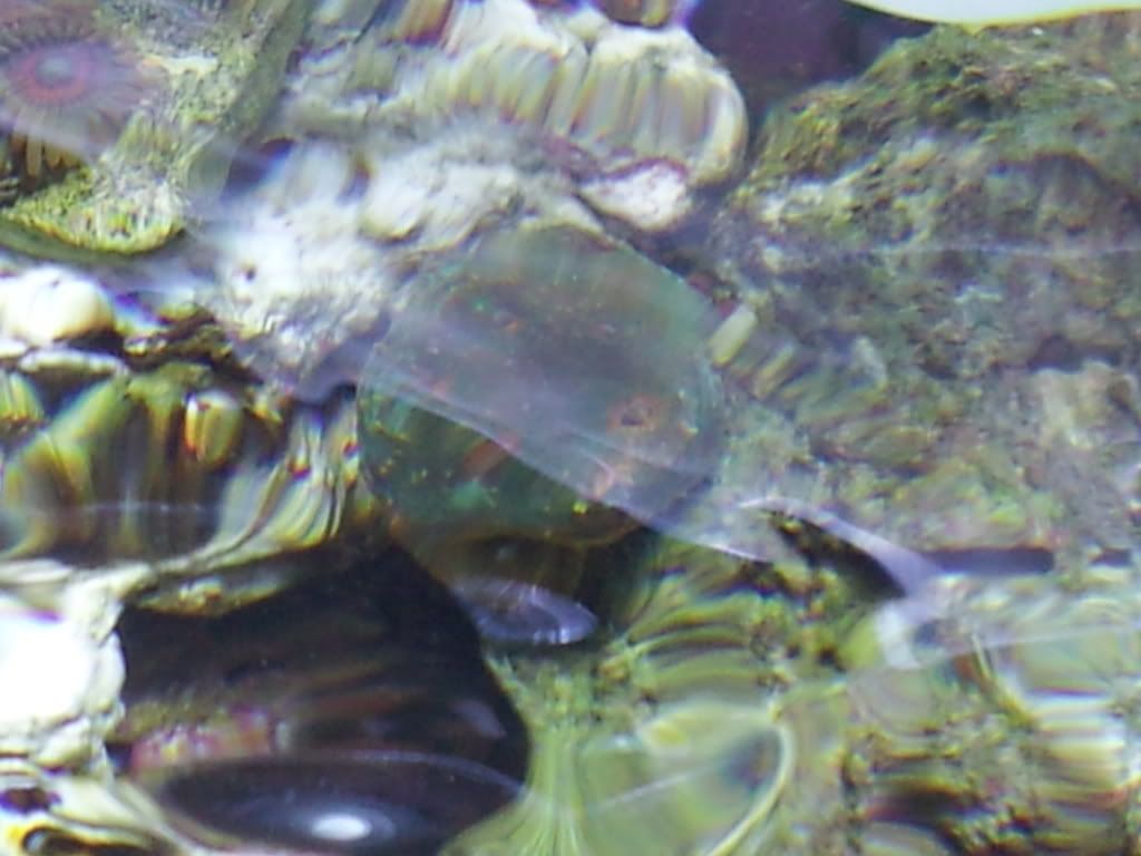 2011-09-08113328.jpg