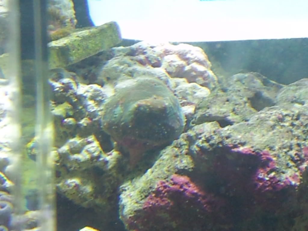 2011-09-08113341.jpg