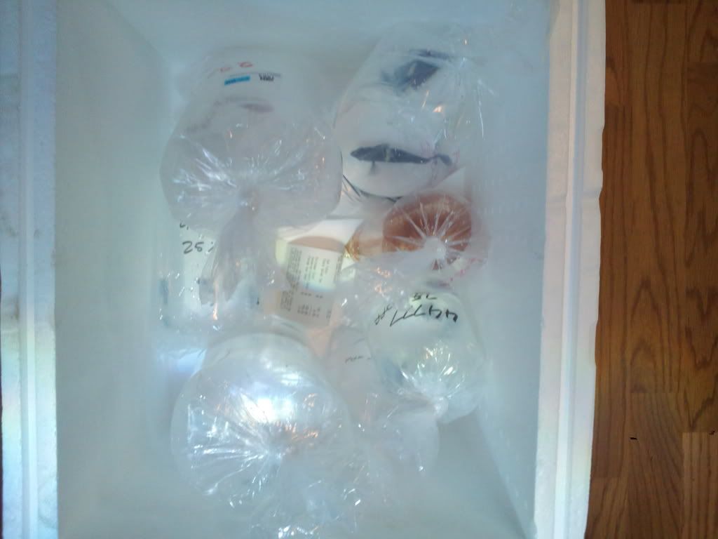 2011-09-17151054.jpg