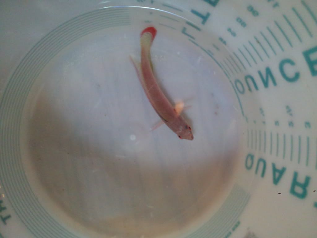 2011-09-17151640.jpg