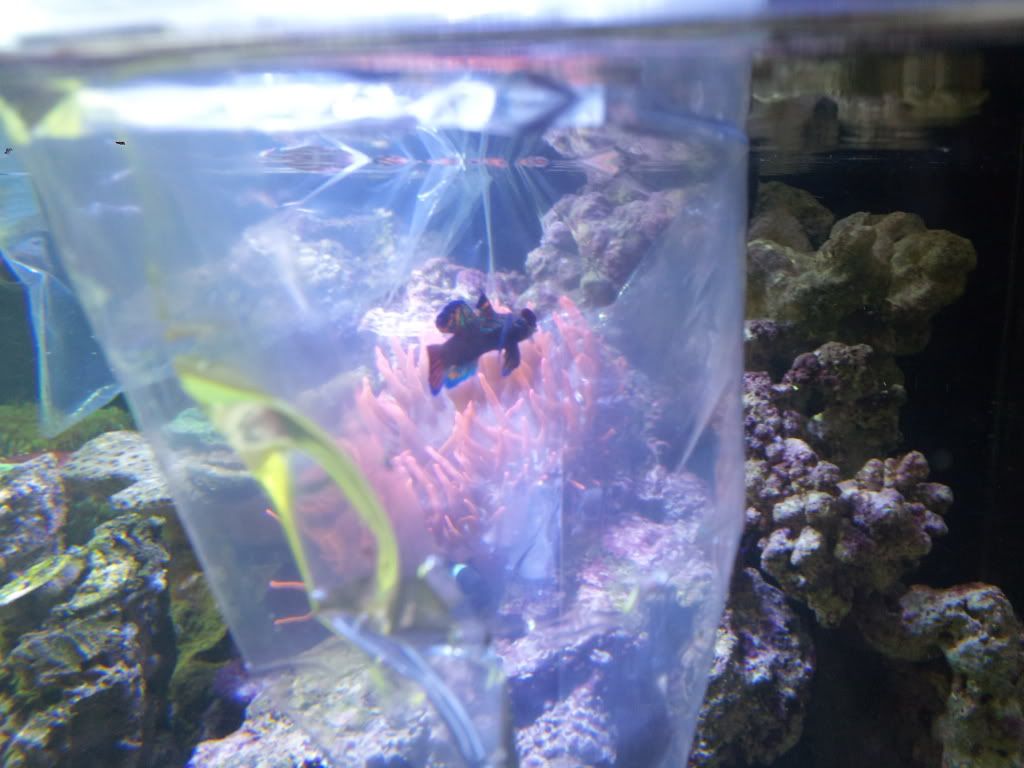 2011-09-17153143.jpg