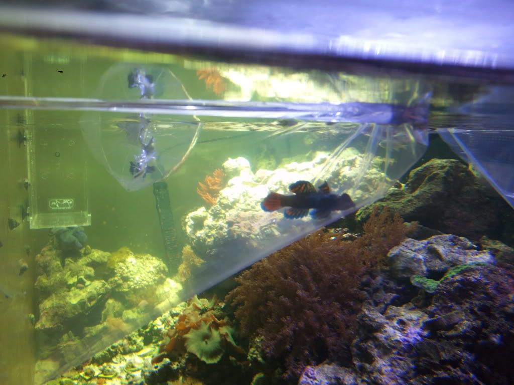 2011-09-17153150.jpg