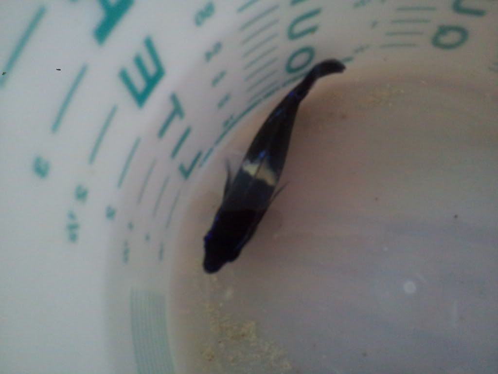 2011-09-17154008.jpg