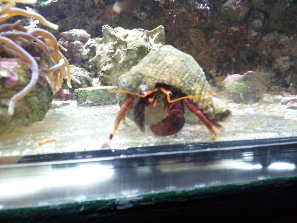 2011-09-22164416.jpg