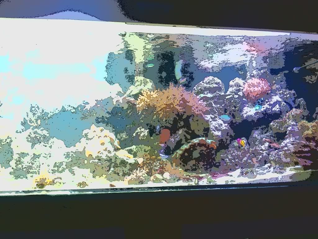 2011-09-22164504.jpg
