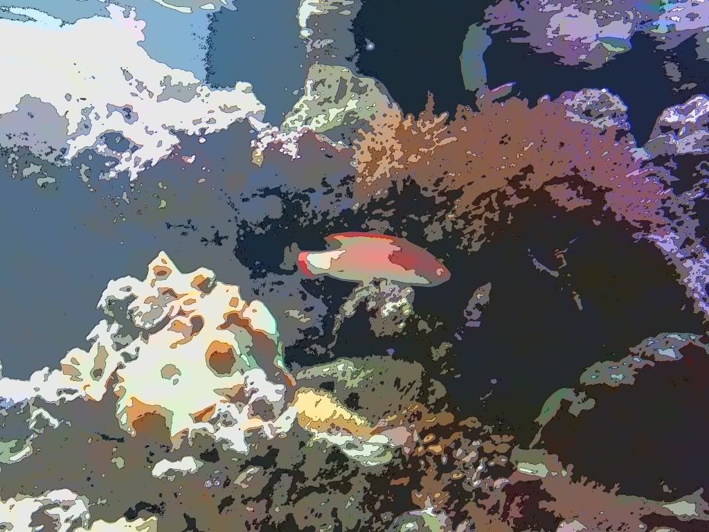 2011-09-22164526.jpg
