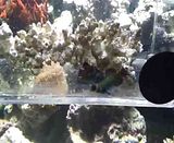 th_video-2011-09-17-15-56-48.jpg