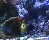 th_video-2011-09-17-16-21-15.jpg