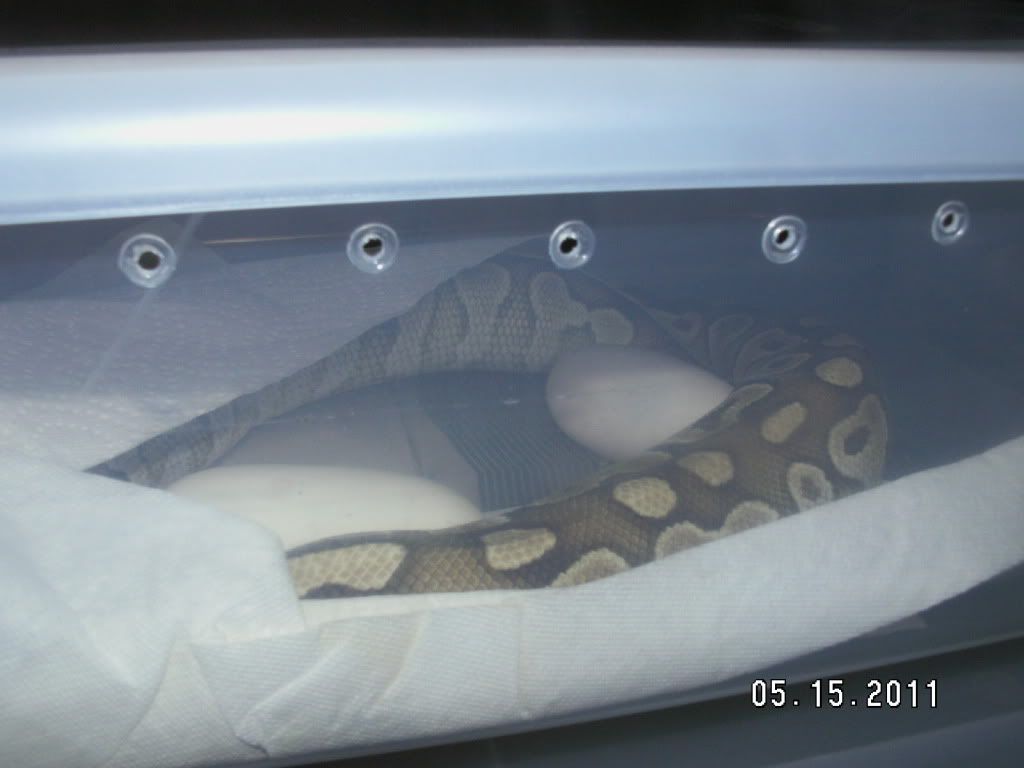 PICT7510.jpg