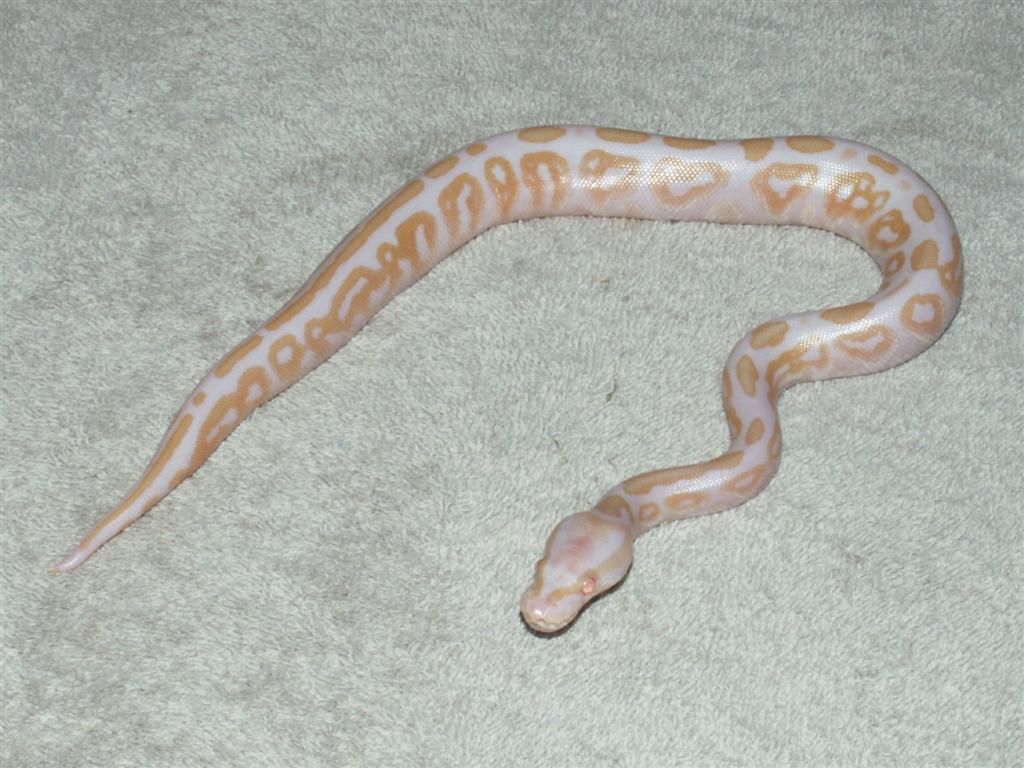 PICT0766.jpg