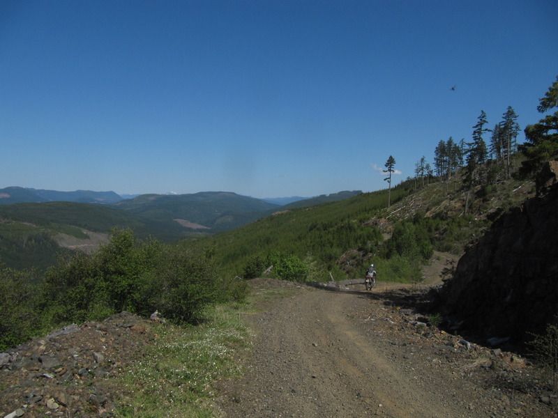 IMG_7579.jpg