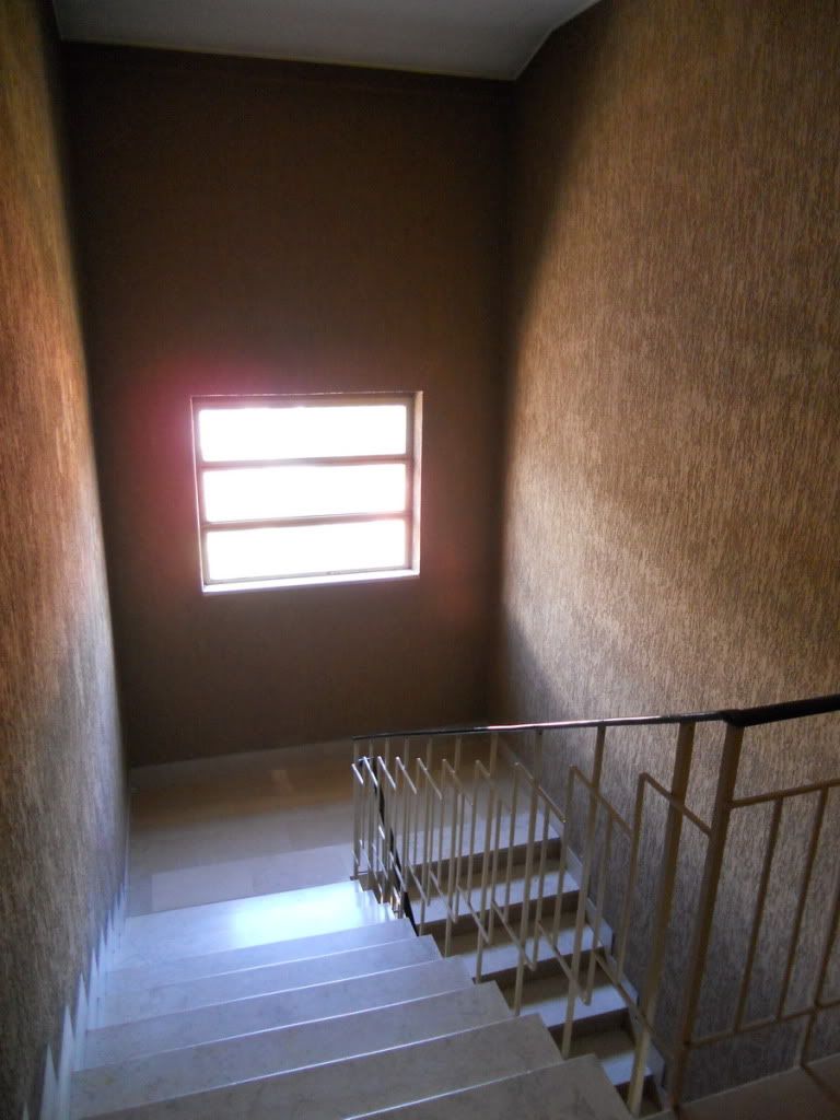 DSCN0082.jpg
