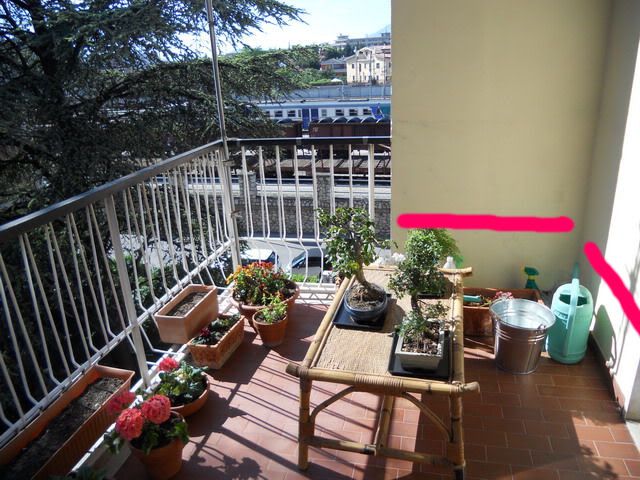 DSCN0104.jpg