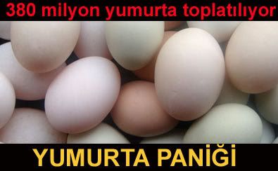 YUMURTA PAN