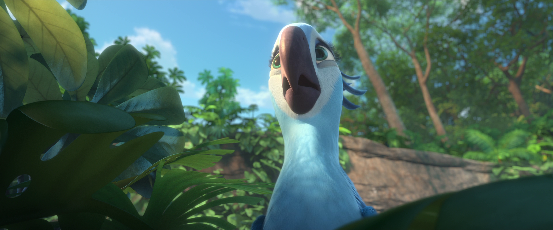 vlcsnap-2014-07-02-18h49m55s171.png