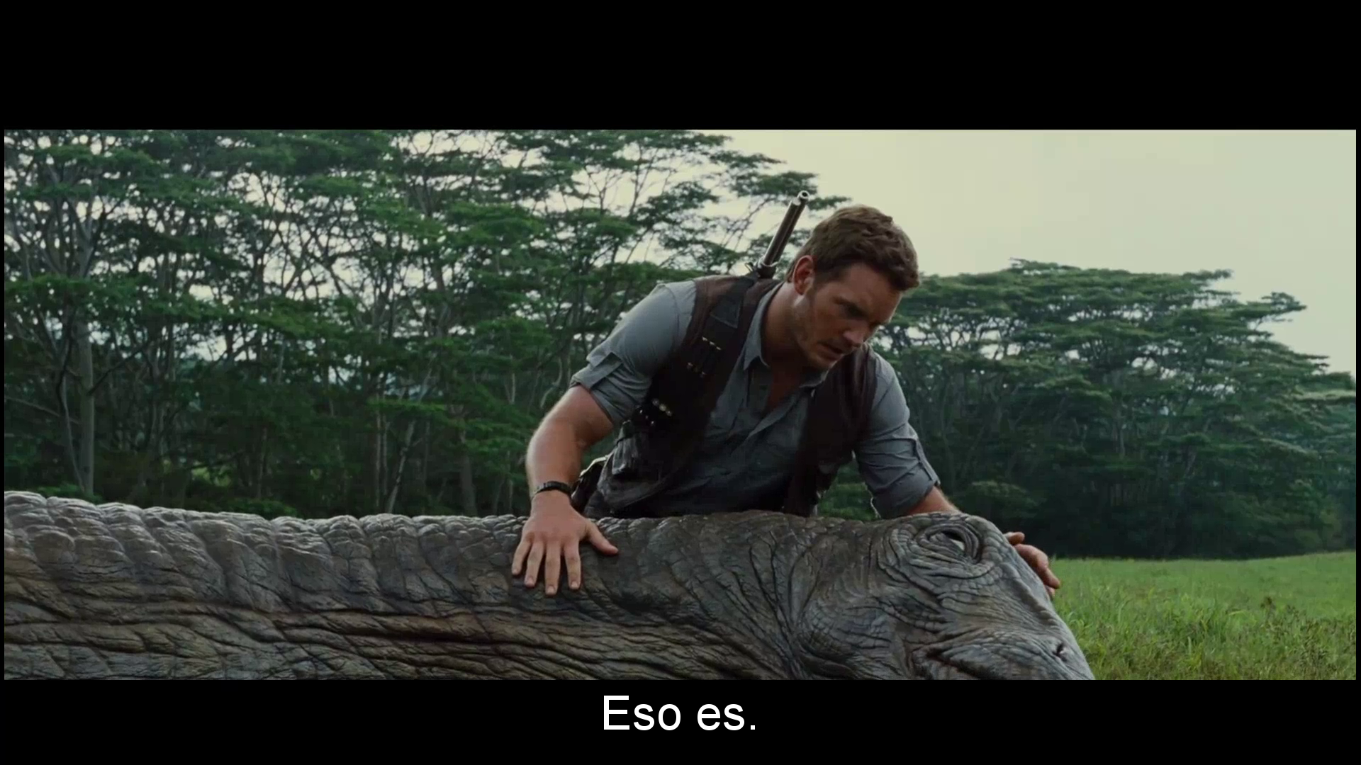 vlcsnap-2015-07-11-17h01m23s246.png