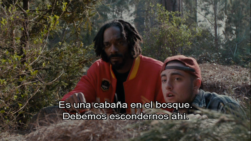 vlcsnap-2013-08-03-17h39m57s223.png