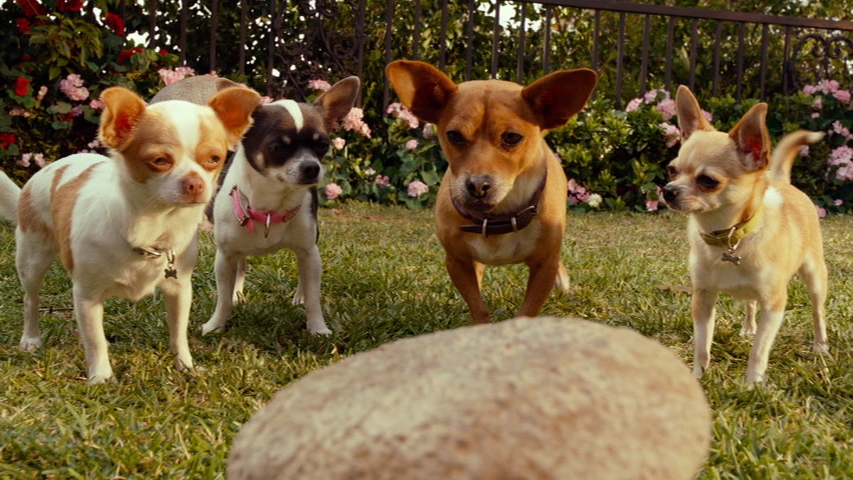 vlcsnap-2012-09-06-00h29m04s78.png