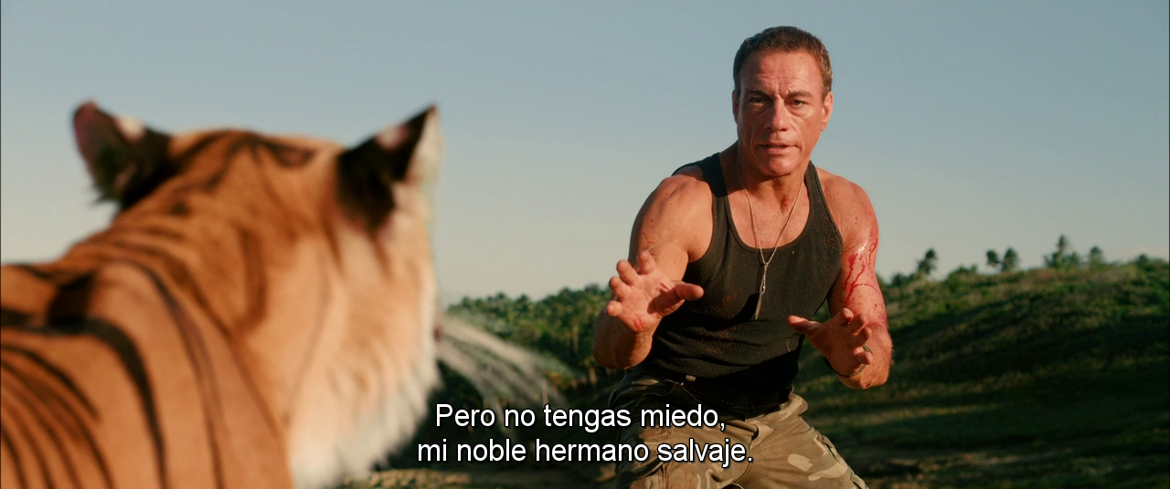 vlcsnap-2014-02-02-09h02m06s236.png