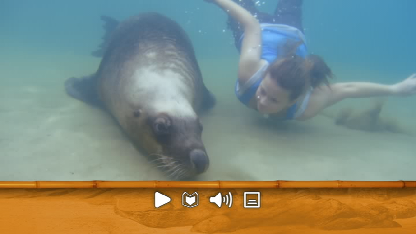 vlcsnap-2013-12-05-11h24m48s201.png
