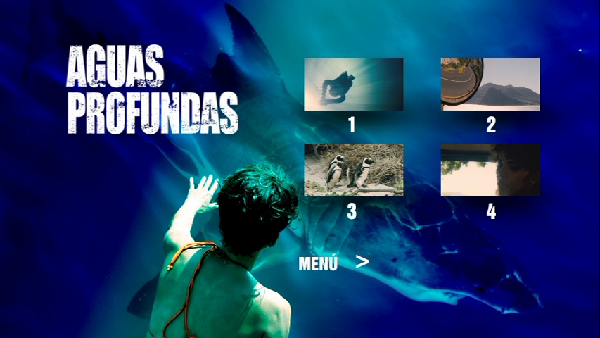 vlcsnap-2013-04-30-17h15m44s229.png