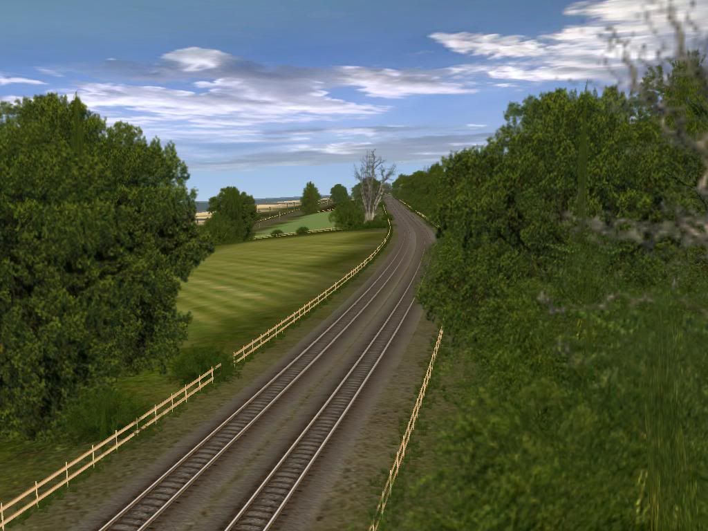 74.jpg