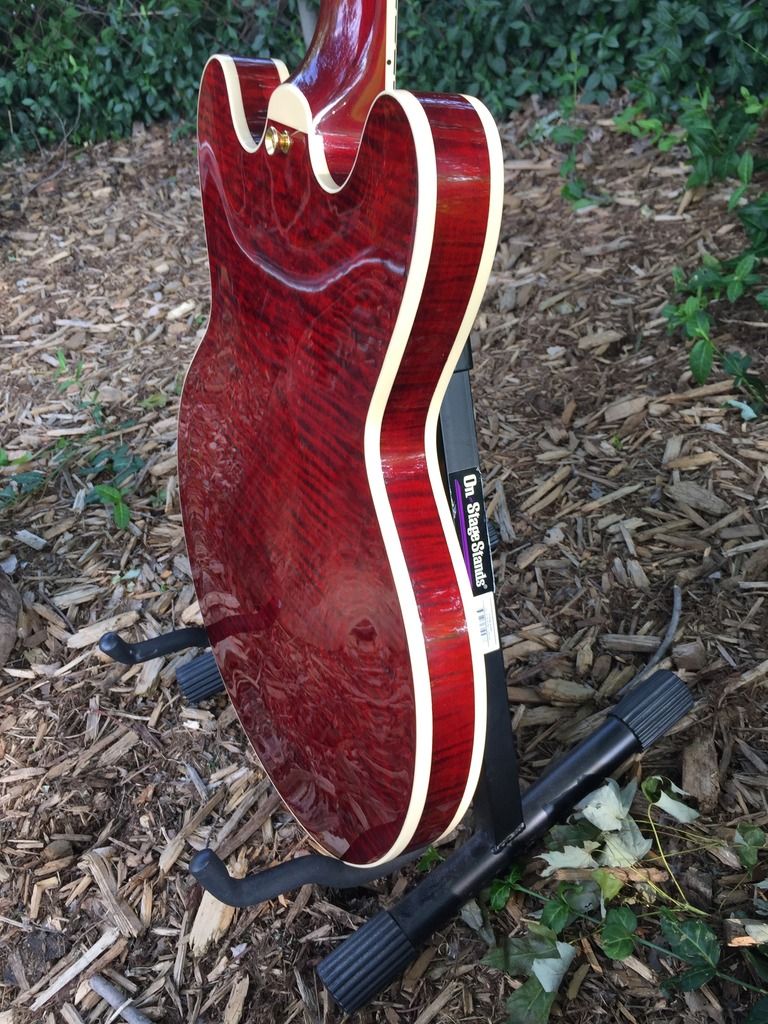 013F2E28-2DA7-46C8-BEE4-5B9F7FCC772D_zps