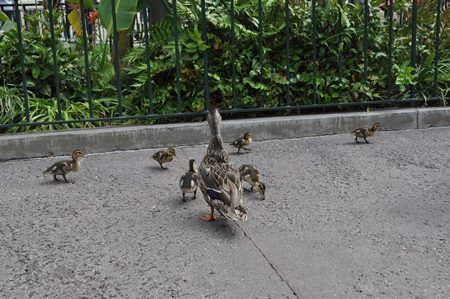  photo DSC_7317.jpg