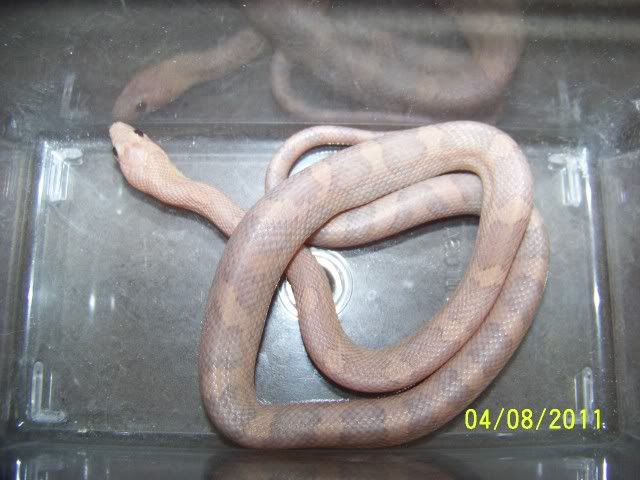 100_8867.jpg