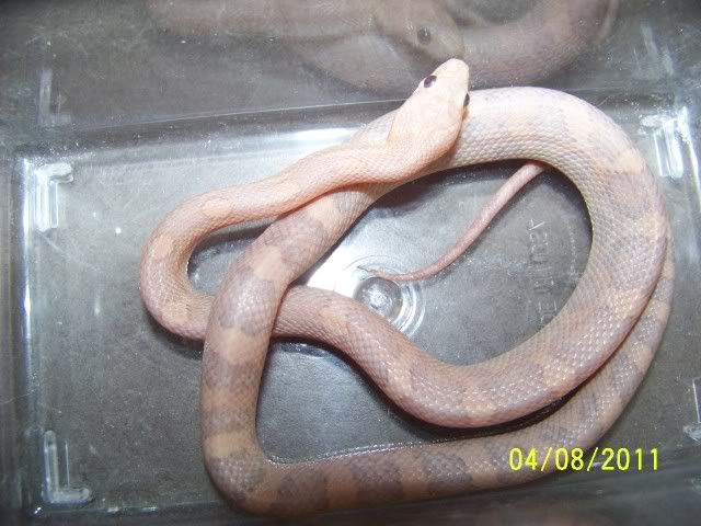 100_8869.jpg