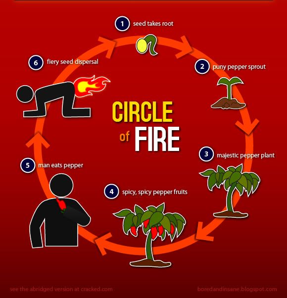 Ring of fire, fiery seed dispersal