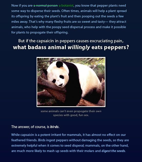 Why do animals willingly eat peppers?