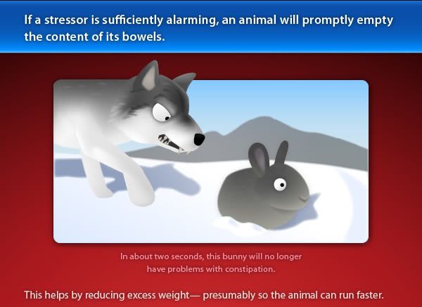 A wolf and a bunny.