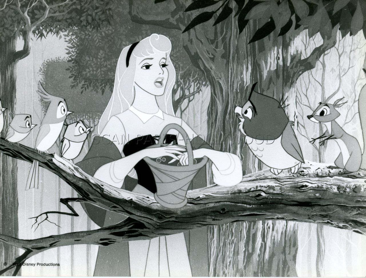 Walt Disney Sleeping Beauty La Belle Au Bois Dormant Photo Vintage 1 Ebay