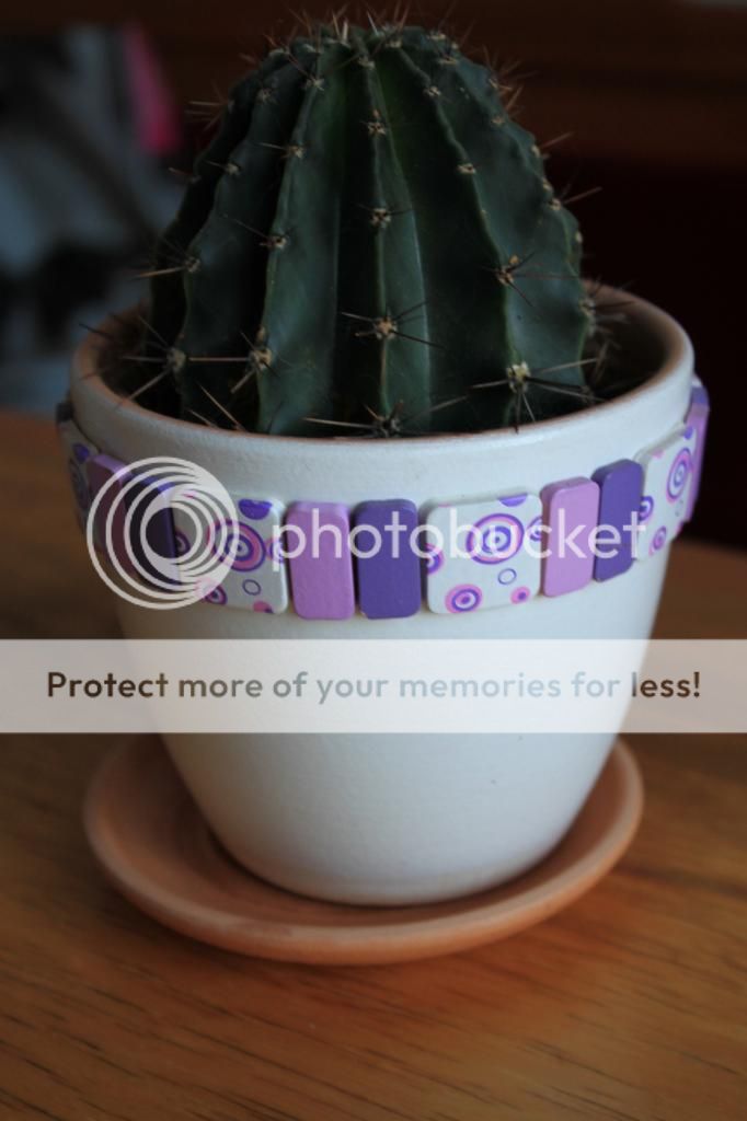 photo IMG_9937_zps59bc7b30.jpg